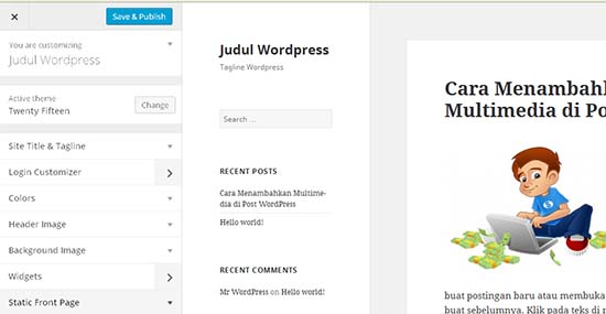 customize wordpress settings