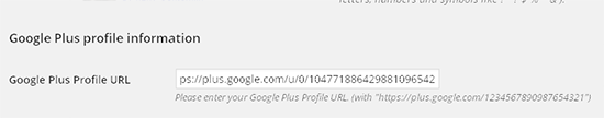 input google plus authorship di wordpress