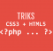trik php css html wordpress tutorial