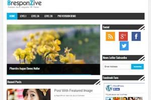 bresponzive theme wordpress gratis magazine