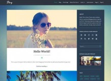 story theme wordpress responsive free download