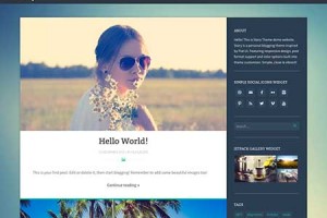 story theme wordpress responsive free download