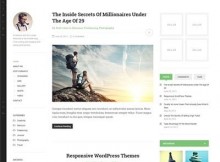 dw-minion-free-responsive-wordpress-theme