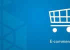 ecommerce themes and plugins