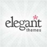 best elegant theme