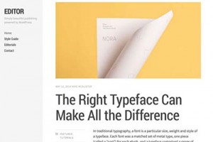 editor-free-minimal-wordpress-theme