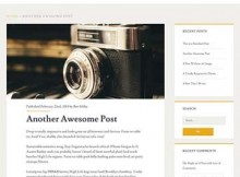 ignite free theme wordpress responsive