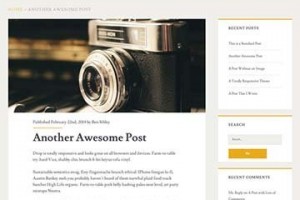 ignite free theme wordpress responsive