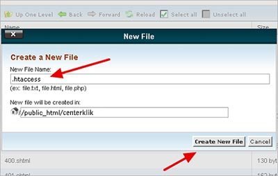 buat file htaccess File-Creation-in-cPanel