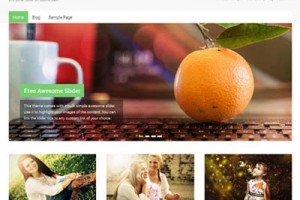 accelerate free wordpress theme