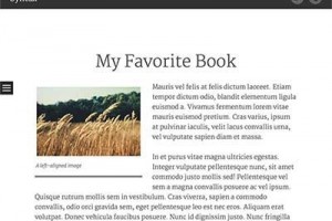 syntax-wordpress-theme blogger worpdress