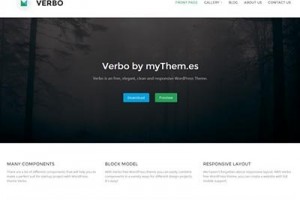 verbo-free-responsive-business-theme-for-wordpress