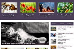 yegor theme responsive wordpress mgazine