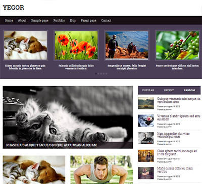 yegor theme responsive wordpress mgazine