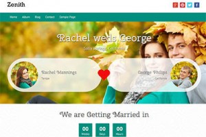 zenith wedding theme wordpress free