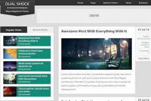 DualShock theme wordpress magazine