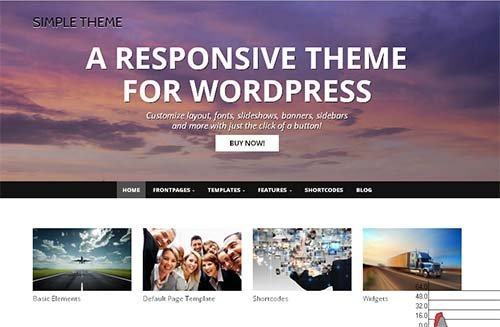 simple lite theme wordpress best design free