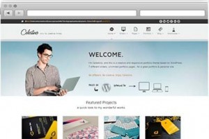 download theme portfolio best free wordpress