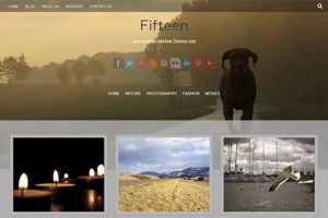 fifteen free wordpress theme download