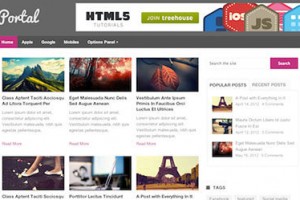 portal theme wordpress gratis