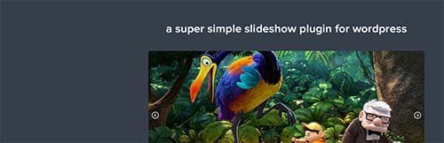 simple slideshow plugin slideshow wordpress
