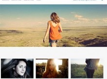 theme wordpress inkness responsive free