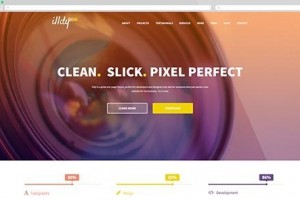 Illdy theme wordpress free