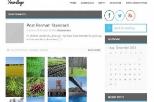 theme wordpress minimagazine responsive free