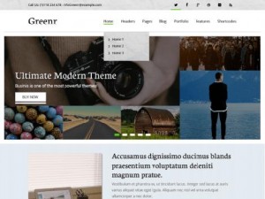 Theme Wordpress Greenr Responsive Free