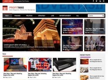 theme wordpress magazine profitmag