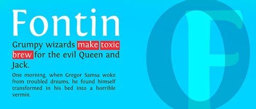 webfonts google fontin