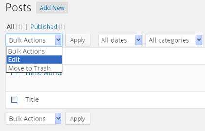 membuat kategori wordpress 4