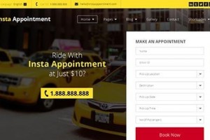 InstaAppointment theme wordpress free