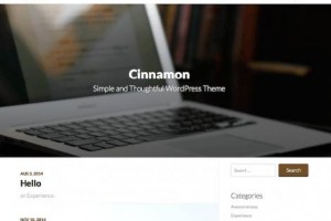 theme wordpress cinnamon
