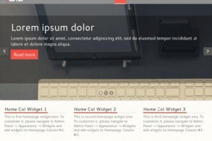 theme wordpress responsive fbiz free