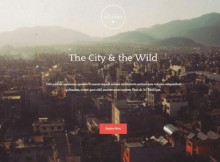 theme wordpress gateway free