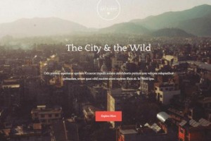 theme wordpress gateway free