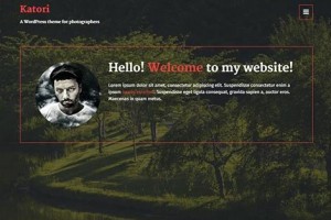 theme wordpress katori fotografer
