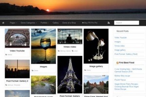 theme wordpress pr pin free