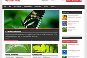 theme wordpress dynamic news