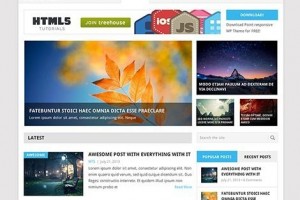 theme wordpress point responsive free