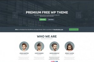 theme wordpress wr elite free