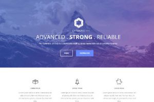 Theme wordpress optimizer responsive free