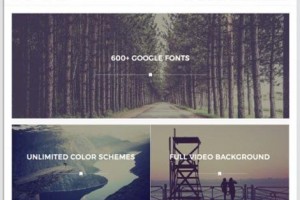 theme wordpress riba lite
