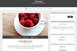 theme wordpress unlimited responsive free