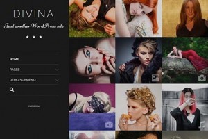 theme wordpress divina responsive free