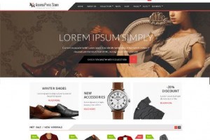 Theme Wordpress AccessPress Store Responsive Free