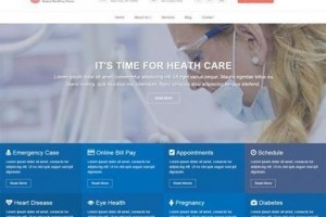 themes wordpress responsive doctors