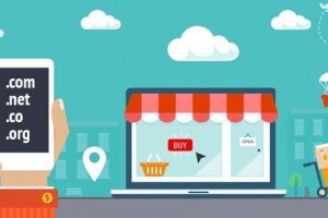 cara memilih domain bisnis