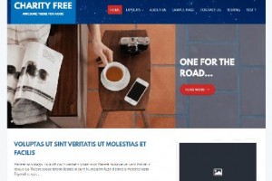 theme wordpress charity review responsive free